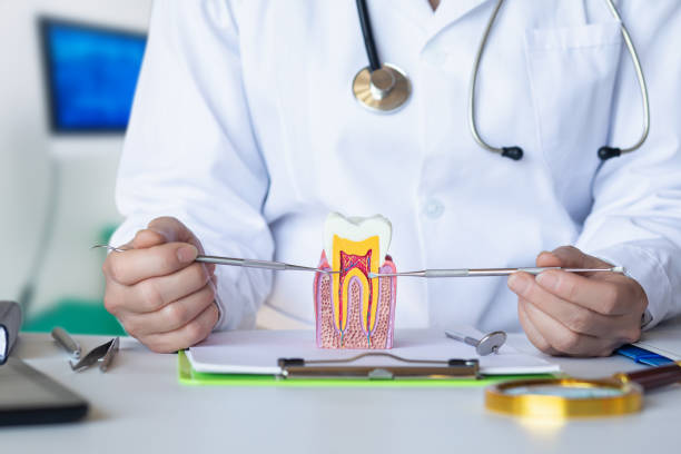 Best Emergency Root Canal Treatment in Chesapeake Beach, MD